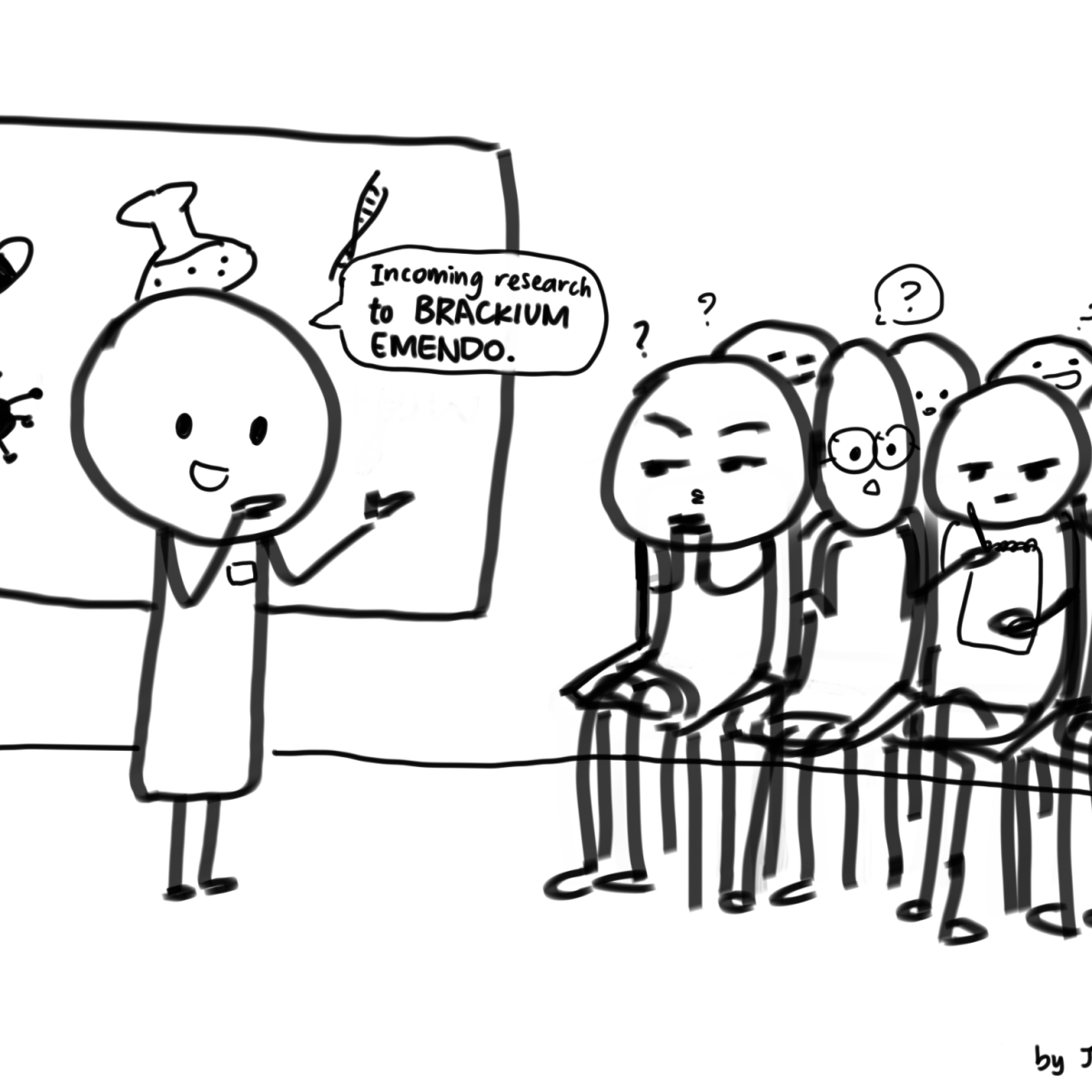 Jargon isn’t all&nbsp;bad!