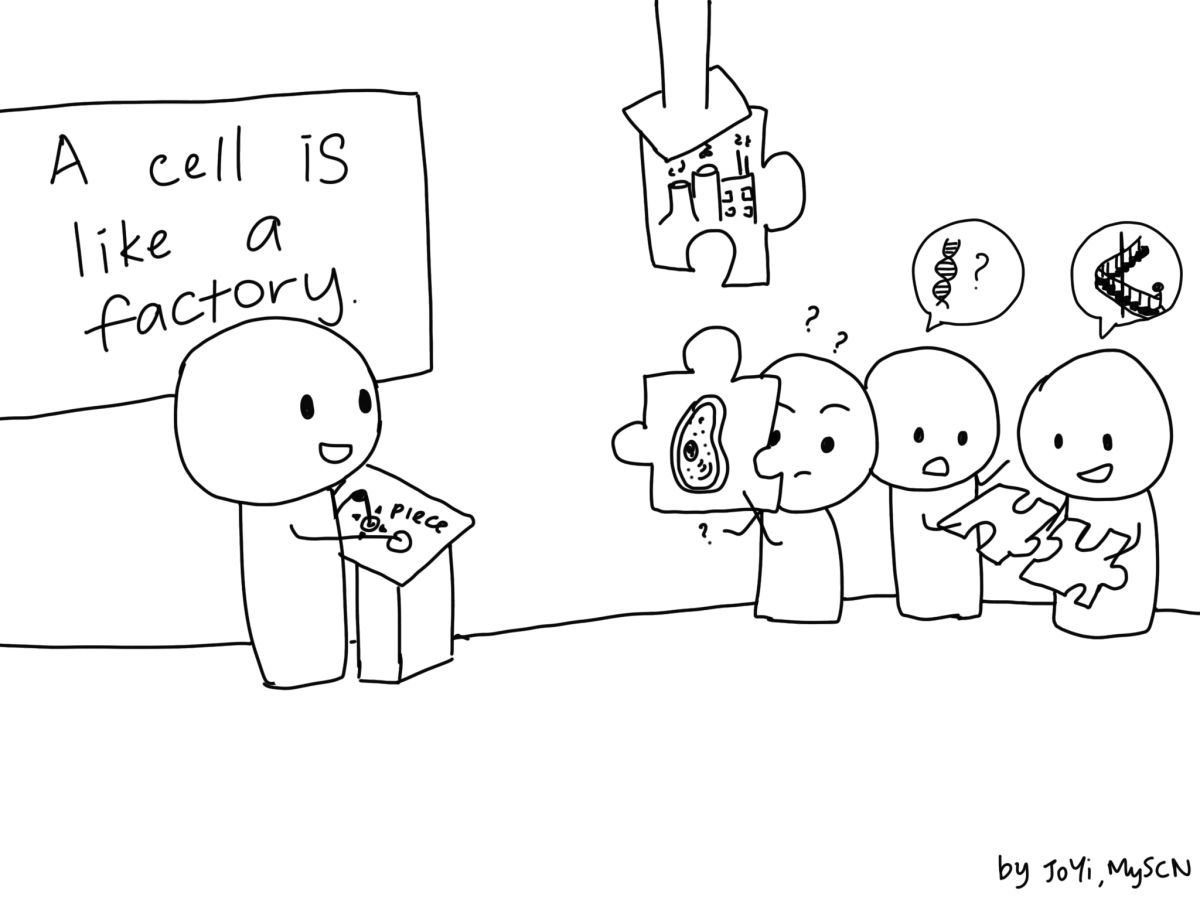 Mastering Analogies: The Magic of Lateral&nbsp;Chunking